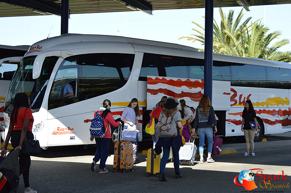 Bus from Sevilla