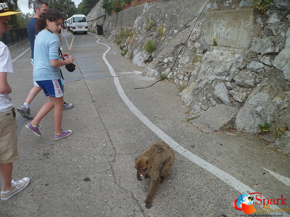 Gibraltar