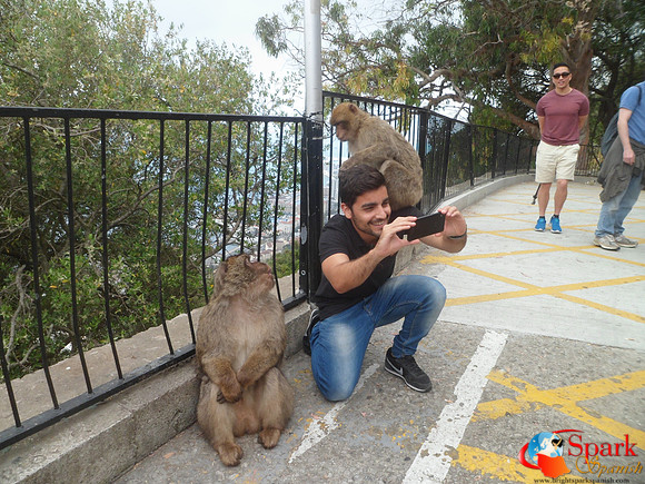 Gibraltar