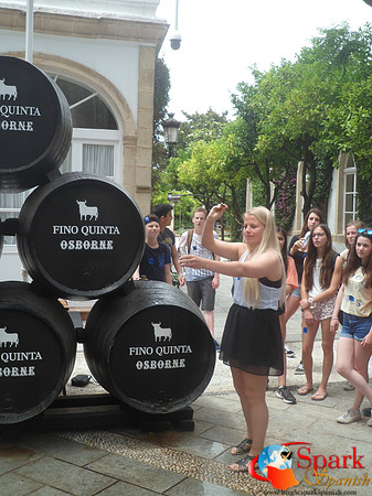 Osborne bodega