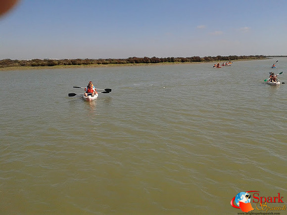 Kayaking San Fernando