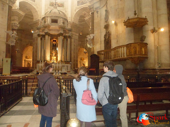 No time to look at the camera when there´s beautiful sights to be seen!