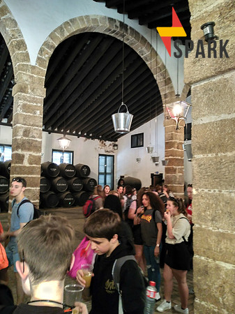 Sherry tasting