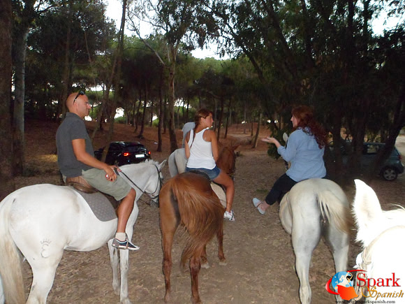 Night Horse Ride