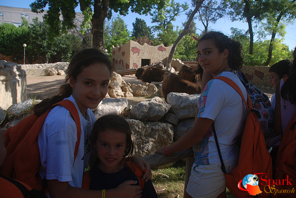 Trip to the zoo
