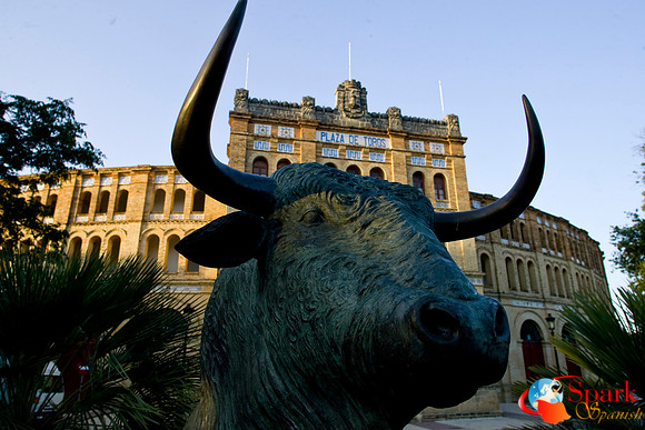 The bull ring- widest in Spain