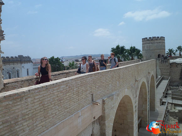 Castle in Jerez