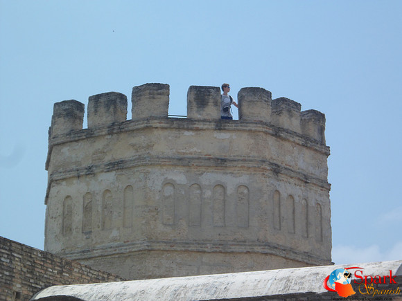 Castle in Jerez