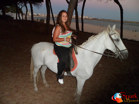 Night Horse Ride
