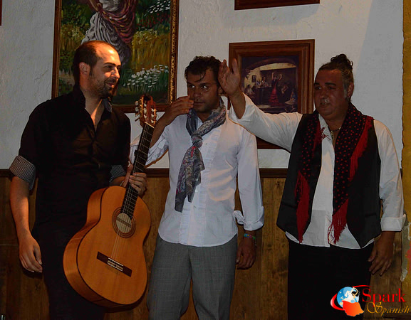 Flamenco Night