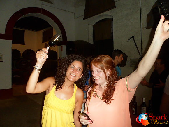 Tour of a sherry bodega (winery)