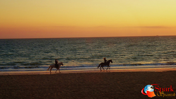 Horse Riding on Beach